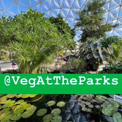 Vegetarian food account for @GregInORL focused on options in the Orlando theme parks and surrounding areas. Post marked (Vegan) or (Vegetarian) if known.
