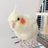 miyu_1059