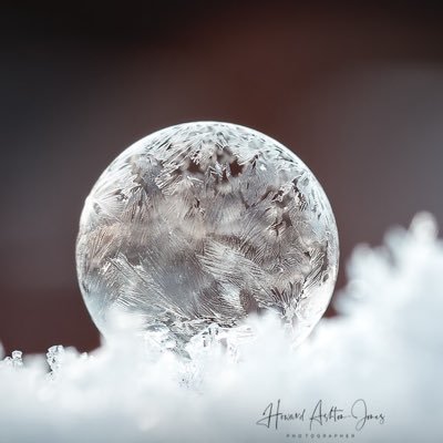 Phazephoto's profile picture. Welcome to my wildlife / nature & creative account @phazephoto. Pro sports photographer shooting gymnastics for Scottish Gymnastics @psbphoto. Canon & Fuji