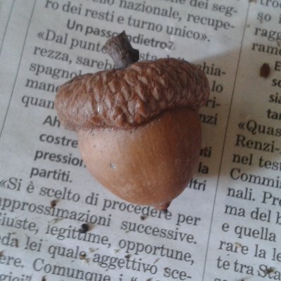 NON sono LaLettura del Corriere =)
Diario di lettura, ascolto e visione
La lettura mi accompagna, mi cura, mi cresce. 
https://t.co/bdkYcu431r