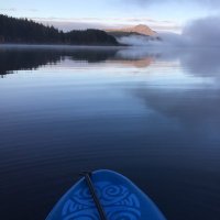 Jimmi (@jimmironaldson) 's Twitter Profile Photo