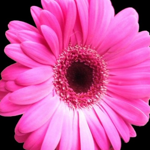 orgpsyk's profile picture. Interessefelt organisasjonspsykologi. Relevante nyheter, forskning og god praksis. Organizational psychology is on the agenda. Relevant news & research. PhD.