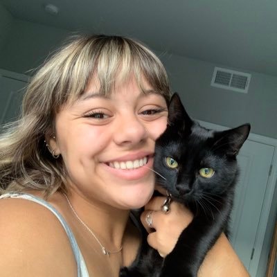 brileygerman's profile picture. proud cat & dog mom