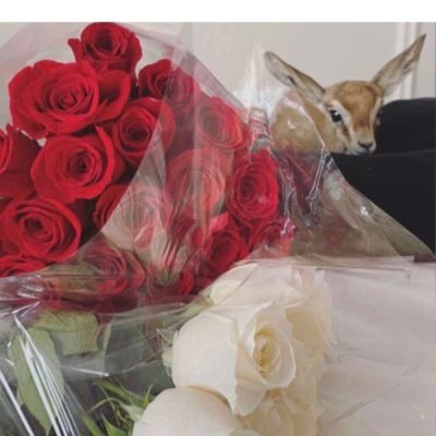 وصـرنــآ نـخـاف نـتـعـوؤد عـلـى آحـد وؤ يتركنآ ..!✋