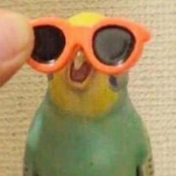 I follow every account that follows me. If you unfollow me I will unfollow you eventually. NOT MY MAIN. So I may not follow you back instantly. (following back)