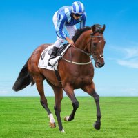 Anoj Don (@anojdon) 's Twitter Profile