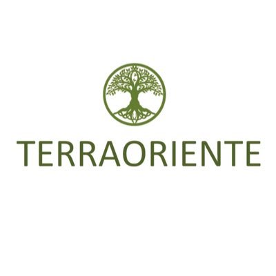 Empresa de PAISAJISMO, especialistas en diseño y construcción de áreas verdes. Instagram #terraorientemx