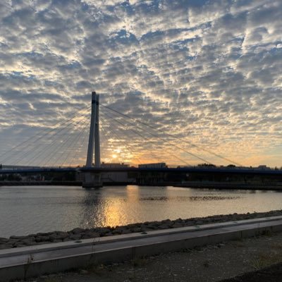 湾岸エリア東雲で子育て中/ / 東雲6年目/ 豊洲東雲有明の情報収集/ 写真は桜橋と辰巳公園から見た東雲♡/#ZUPPANIAN 🧀🐭/ #ふるてりあん🍓🍇/ #あんずクラスタ 🥩💙