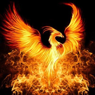 The Phoenix is a symbol of immortality and growth, venerated in many ancient civilizations it represents the the circle of eternal life. #Indiariselikeaphoenix