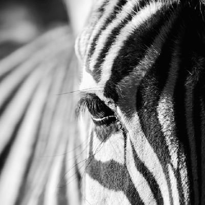 A2Zone2infinity's profile picture. Free spirited