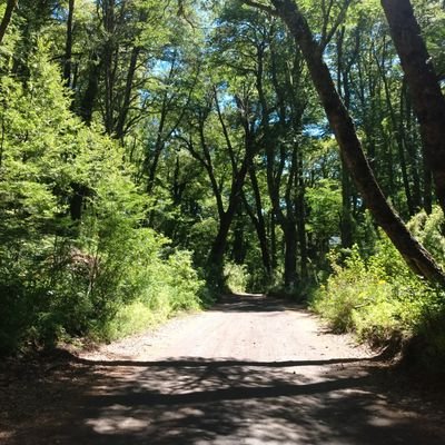 FrankFran19's profile picture. 