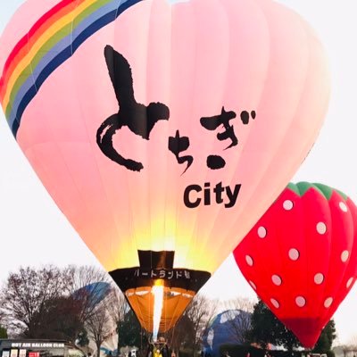 栃木市熱気球クラブのアカウントです。
問い合わせ先:090-3245-4388
栃木県栃木市片柳町5-8-1