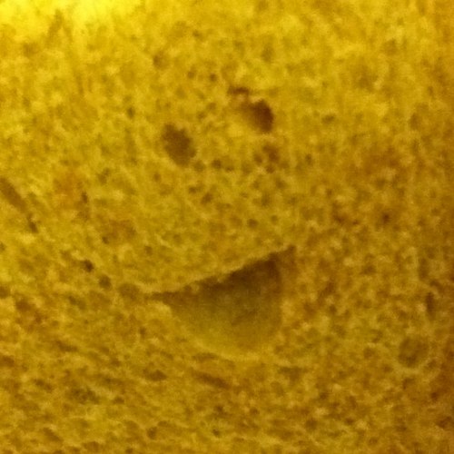 MangyHare's profile picture. He/him. Fuck Trump, Musk, Tories, Brexit voters and all other cunts.