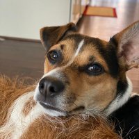 bbmoody (@bbmoody1) 's Twitter Profile