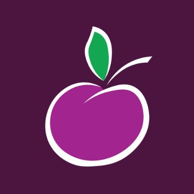 Plum Trade Services