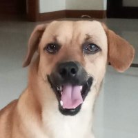 1mil_JamesTrading (@mhatdug) 's Twitter Profile