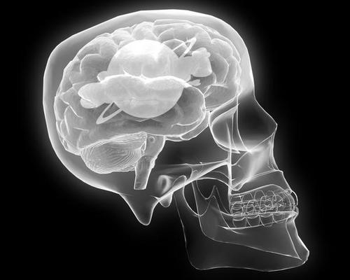 airport1983's profile picture. seit 1983 ein weltweit angesagter club... wann immer du das airport betrittst, es erwartet dich eine Party auf 5Areas mit Spitzen-DJs