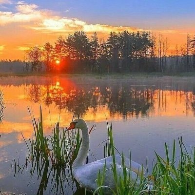 FUmPcVMqUdD24RO's profile picture. 喜欢音乐，喜欢可爱的一切