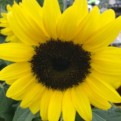 shimazaru_btc's profile picture. 2017年にBTCと出会い、現物、 #BTC FX 。勉強しつつ、楽しみつつ。最近は #ETH #XRP も。基本はスイング。兼業。