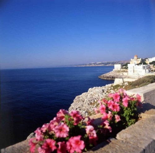 Bed & Breakfast nel Salento - Lecce - Vacanze low cost - Otranto - Gallipoli - Puglia - Masserie - Villa