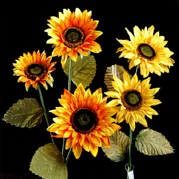 greenqueen102's profile picture. Just trying to get through life with the help of speedway & now Pro cycling - in awe of both!