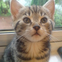 Derek Gilchrist - @DerekGilchrist1 - Twitter