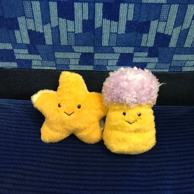 いそぎんちゃく🌠さんのプロフィール画像