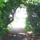 HangingDice's profile picture. Female. Almost 22. University Student. Canadian. Has a blog: http://t.co/r8aLDhhbwW