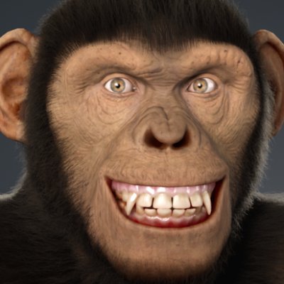 Chimp. Monke. Live Streamer.