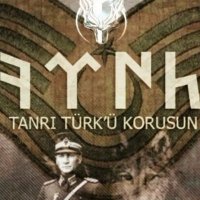 Türkçü Astsubay(@TurkcuAstsubay) 's Twitter Profileg