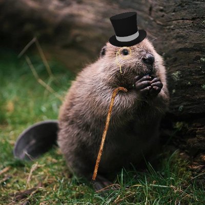 Lars_Van_Cauter's profile picture. Master computer science engineering @Ugent