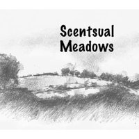 Scentsual Meadows(@ScentsualM) 's Twitter Profile Photo