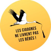 lescigognesnelivrentpaslesbébés (@cigognespodcast) 's Twitter Profile Photo