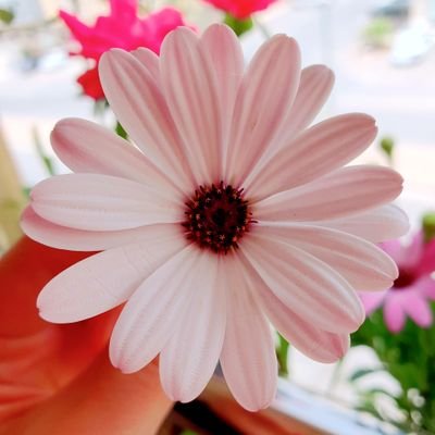 أما الفؤاد فحسبي أنت ساكنُهُ
وصاحبُ البيت أدرى بالذي فيه💚🤲