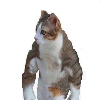 Cringe43390367's profile picture. 