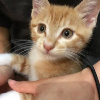 kmywk6524_f's profile picture. 🐶