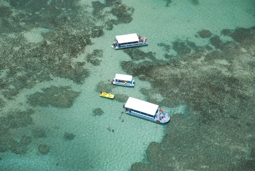 piscinanatural's profile picture. Conheça as piscinas naturais mais preservadas de Alagoas. Maior concentração de PN próxima à orla, do mundo.