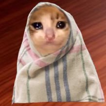 YossiNyasa's profile picture. Zindagi barbaad hogyiaaaa