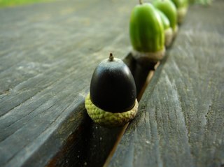 loki1968's profile picture. 