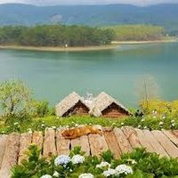 Bùi Phương Thảo (@biphngt06646688) 's Twitter Profile