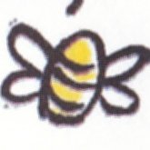 Hedgeley Honey - bee farmer in North Northumberland.! #WeLoveBees #SaveTheBees #Breamish Valley#Beekeeping #Beefarmer #Bees #HoneyBee #Honey#Northumberland