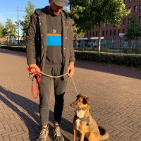 Sebas (@sebhoutje) 's Twitter Profile