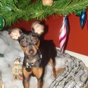 Stéphane Boucher - @franktitou - Twitter