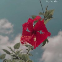 زيتوووونه 🧚‍♀️ (@p93f5t6tkpswzxj) Twitter profile photo