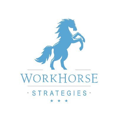 Workhorse Strategies is a unique consulting firm for all of your political and public relations needs. We do the work. You'll reap the rewards.