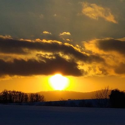 0eYZqewWjyQIWlb's profile picture. 現職公務員（北海道）
情報共有お願いします！
嫌がらせ公務員には負けない！