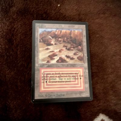 lsd00158702's profile picture. 