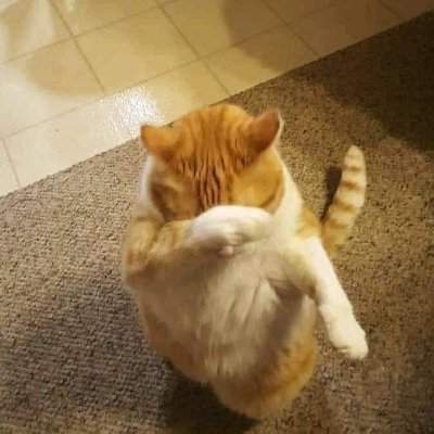 erlangga2626's profile picture. A student that wondering stuff