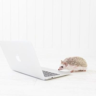 baruru_0523's profile picture. 生きていてもいい人間になりたい