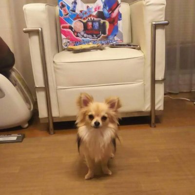 ゆり